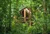 The Canopy Treehouses
